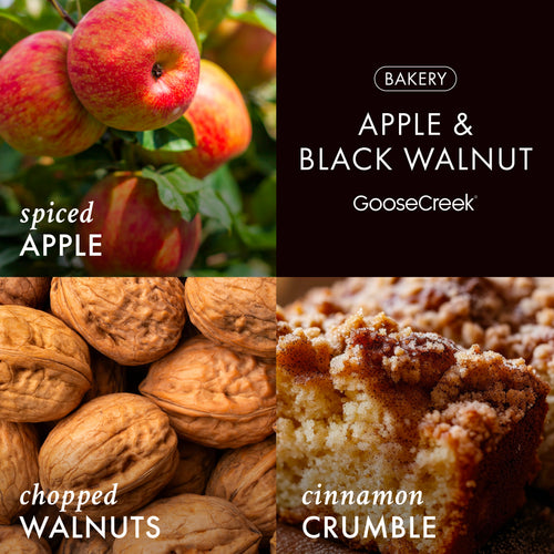 Apple & Black Walnut 3-Wick Candle