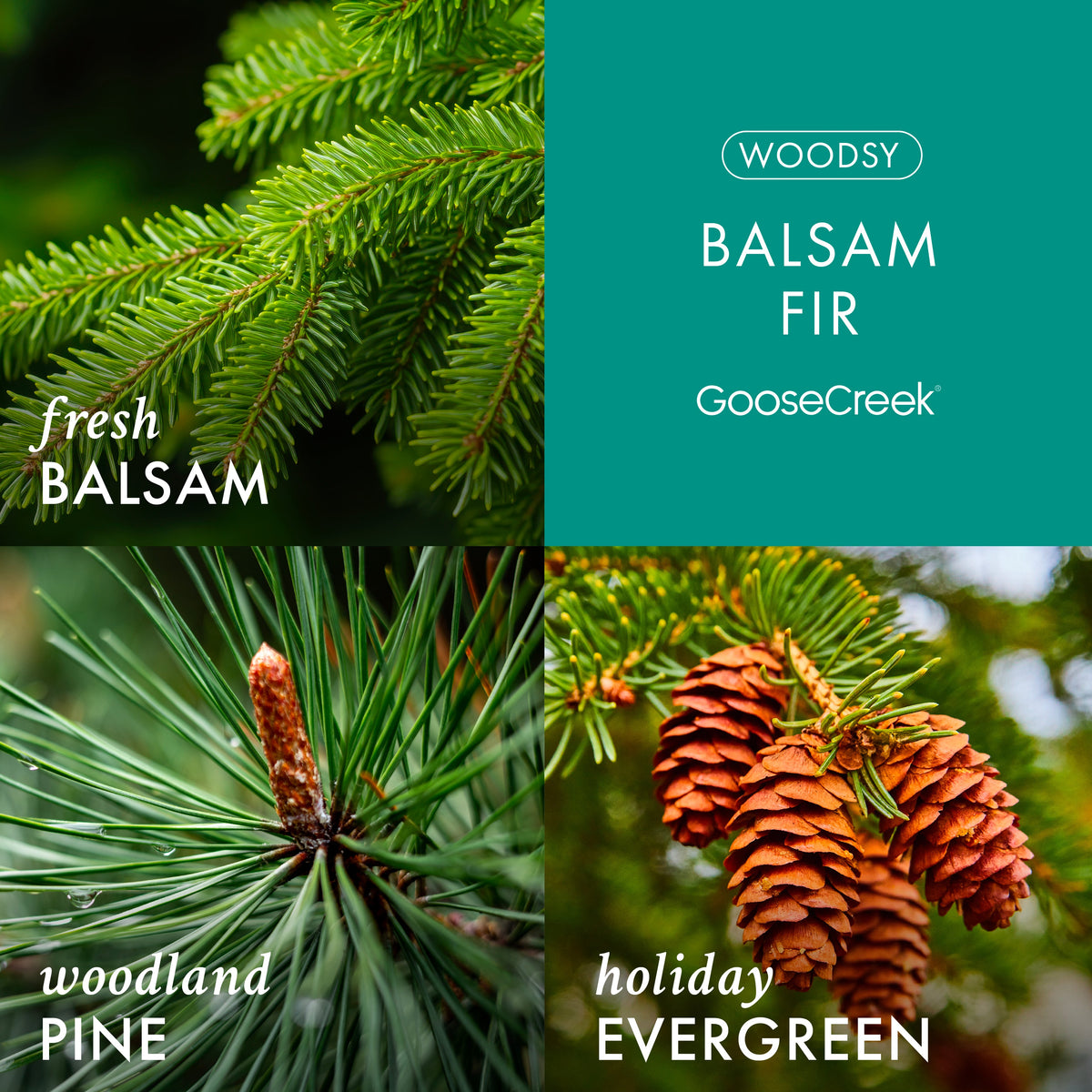 Balsam Fir 3-Wick Candle