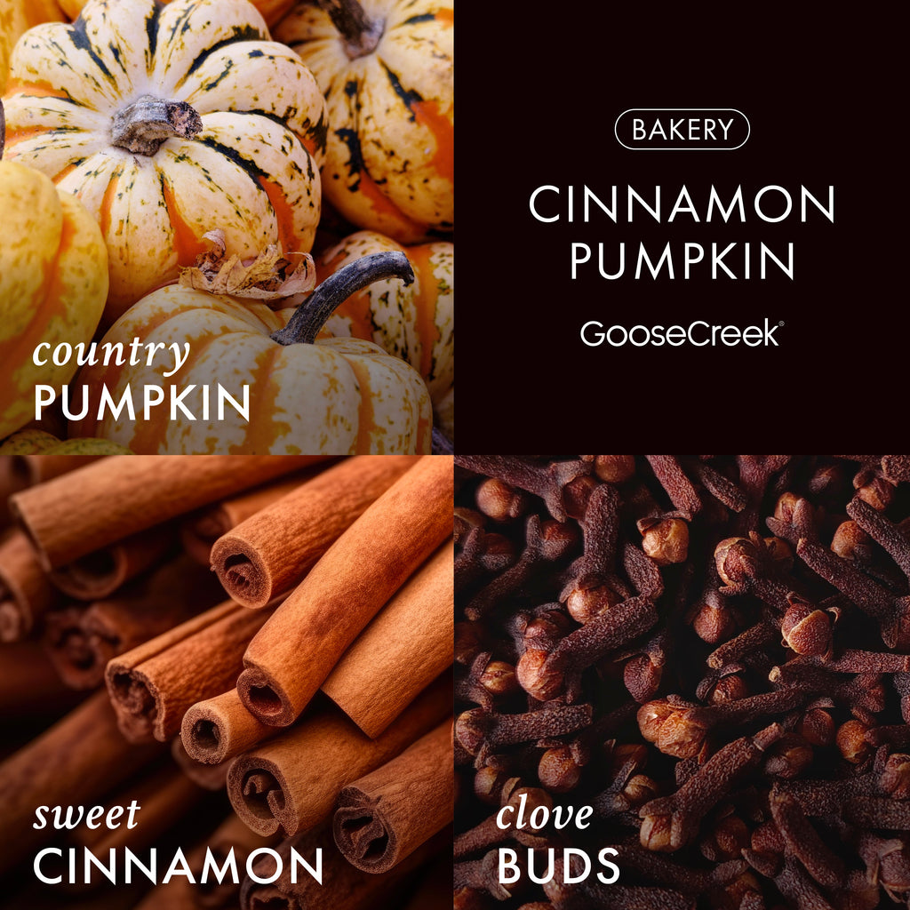 Cinnamon Pumpkin 3-Wick Candle