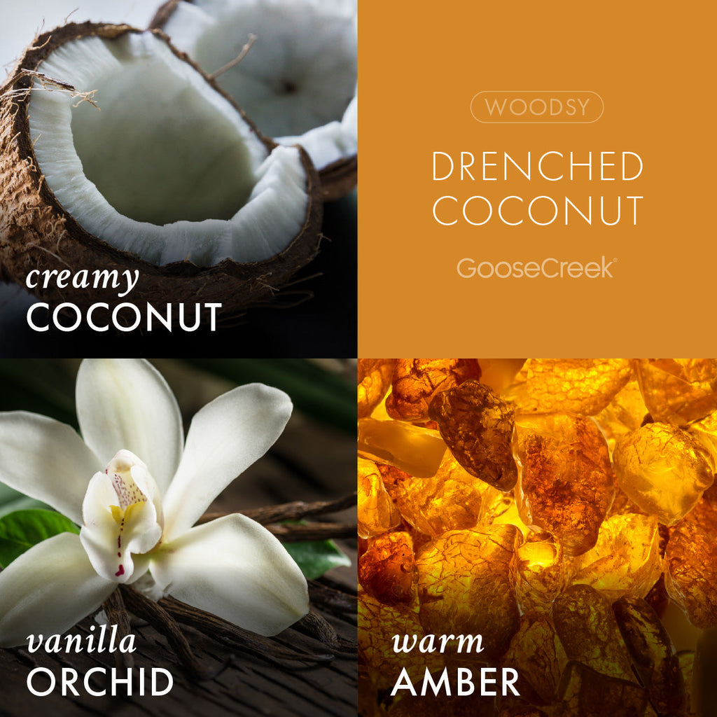 Drenched Coconut Lush Foaming Hand Soap