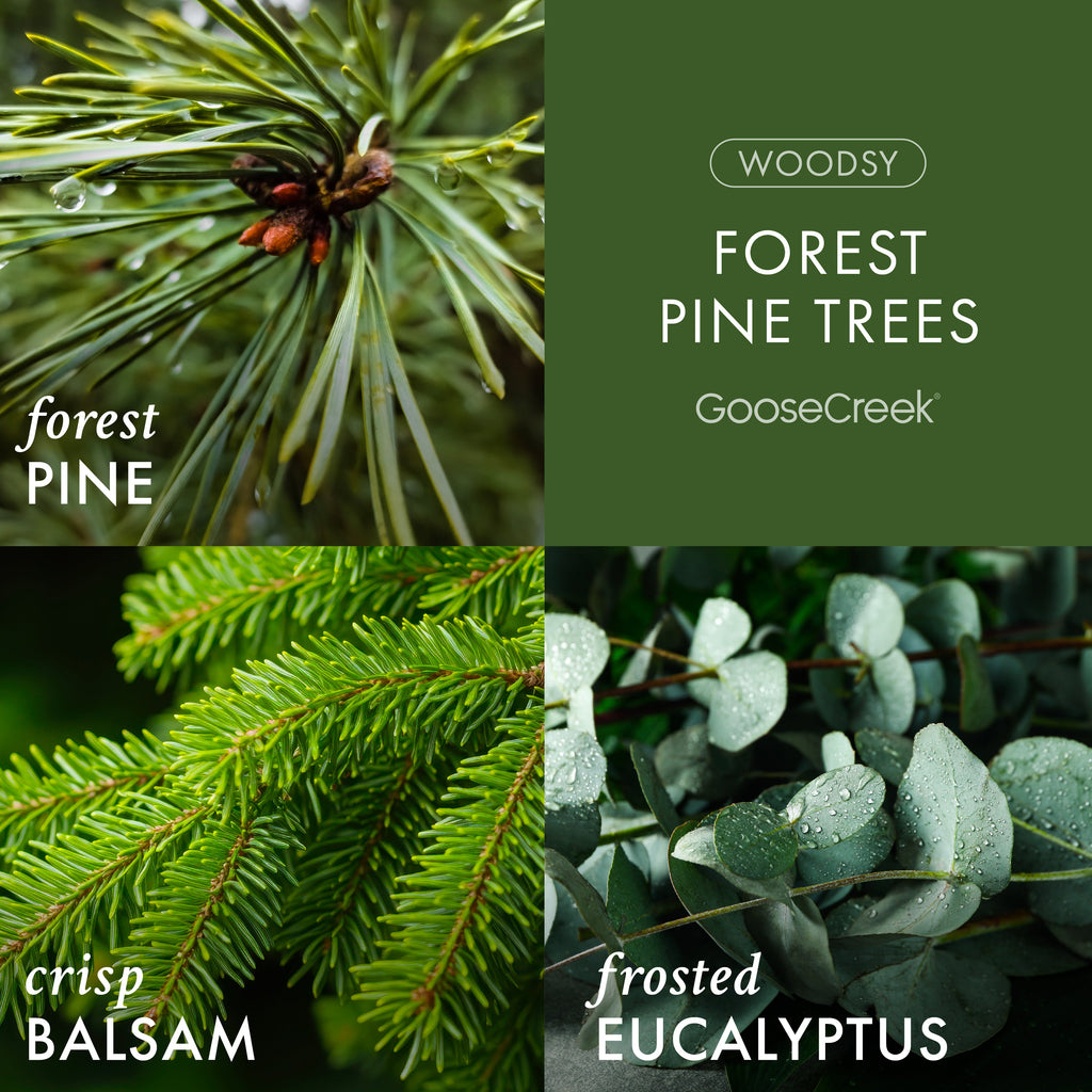 Forest Pine Trees Wax Melt