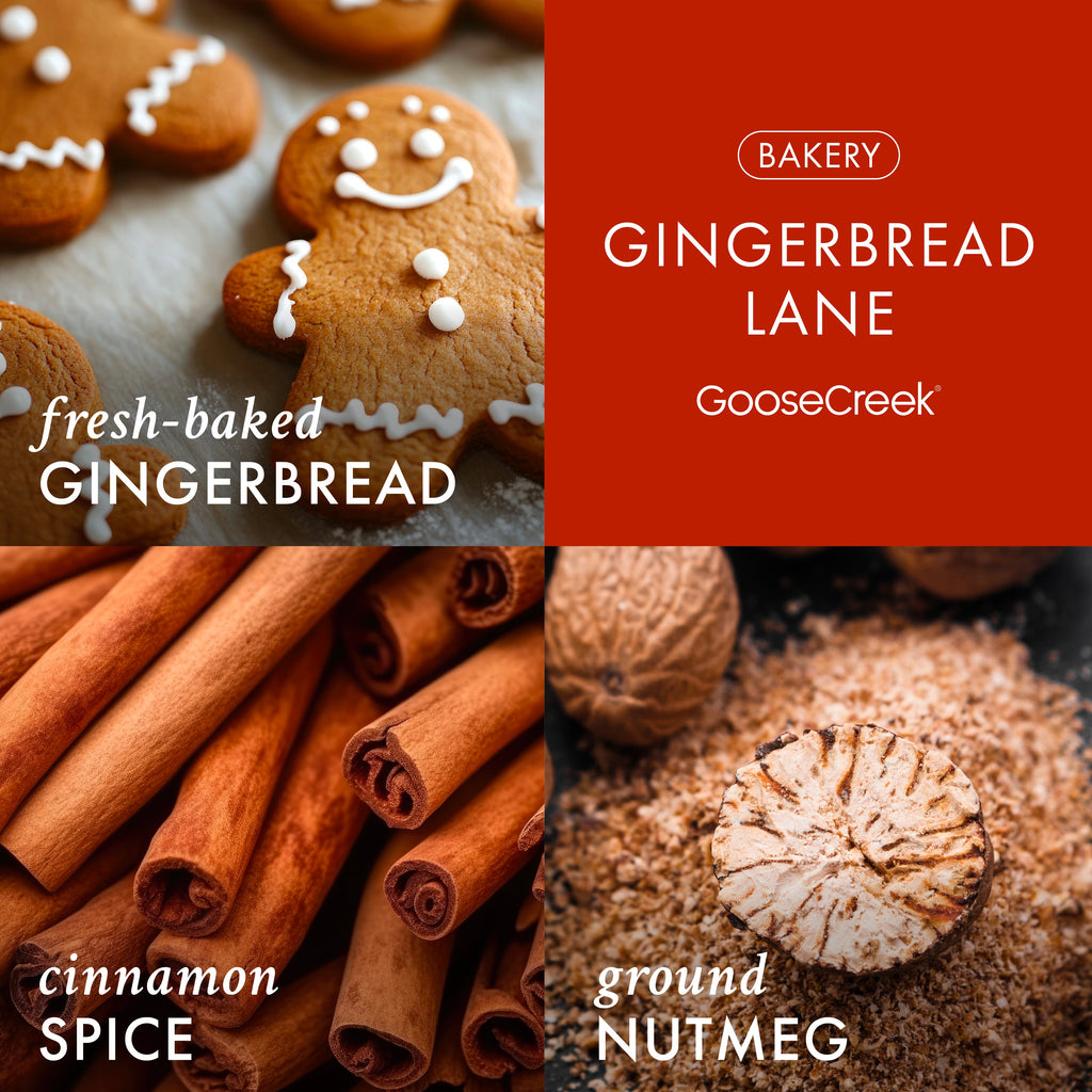 Gingerbread Lane 3-Wick Candle