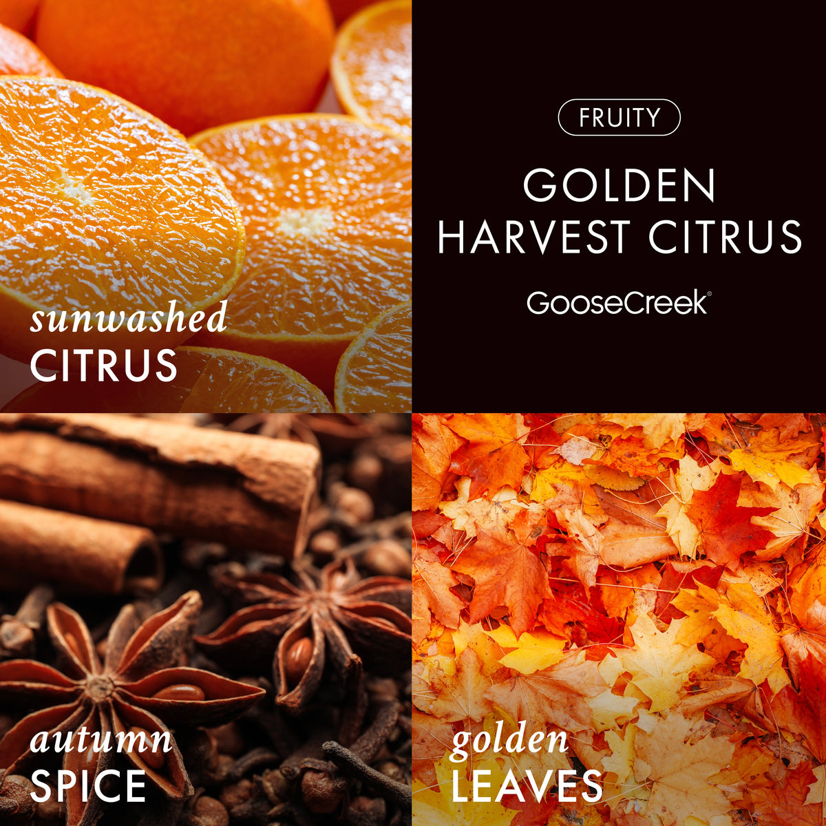Golden Harvest Citrus 3-Wick Candle