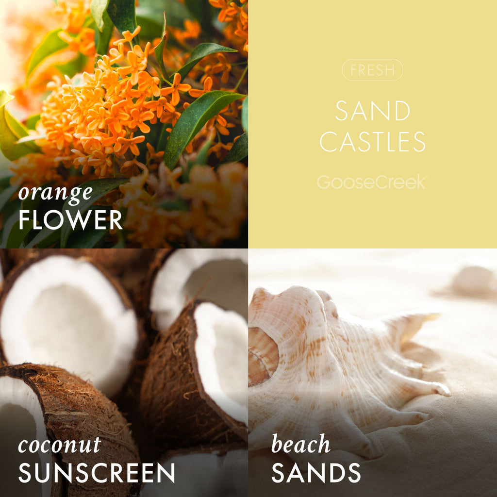 Sand Castles Lush Foaming Hand Soap