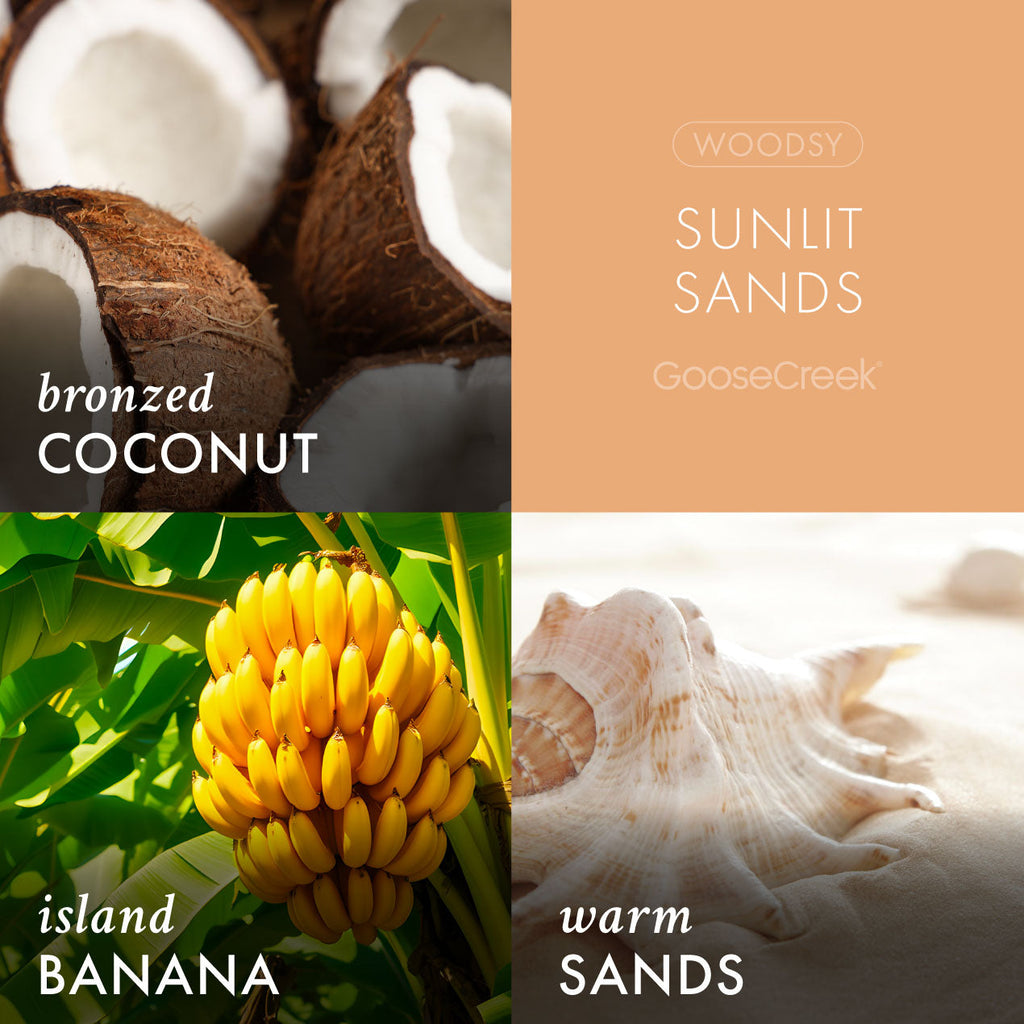 Sunlit Sands Lush Foaming Hand Soap
