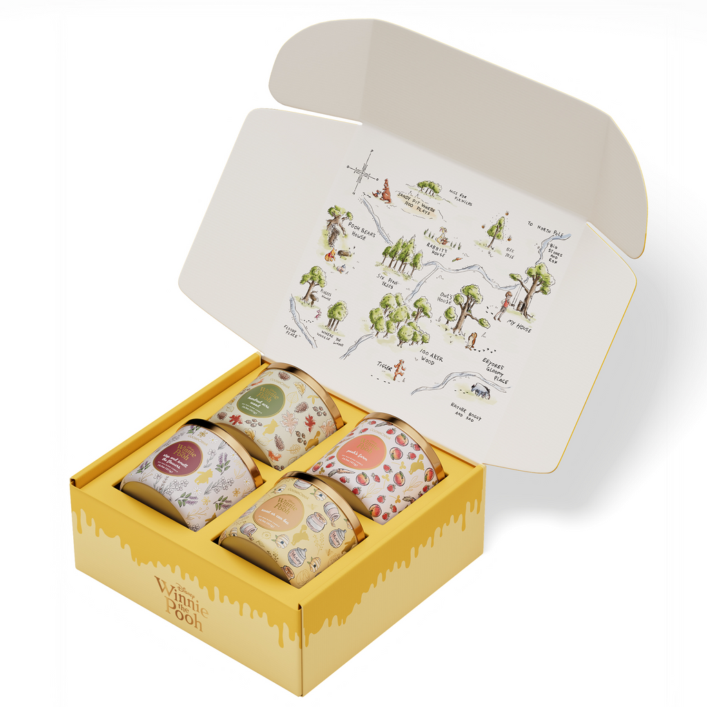 Winnie the Pooh 4-Pack Collector's Box